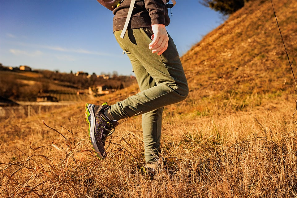 Chaussures de trekking Sparrow Low WP